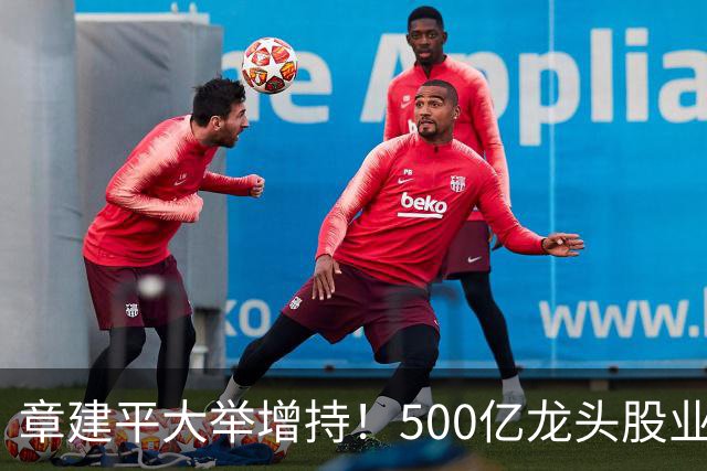 章建平大举增持！500亿龙头股业绩大增超8倍