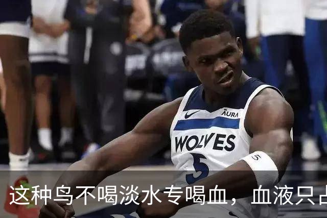 这种鸟不喝淡水专喝血，血液只占食谱十分之一