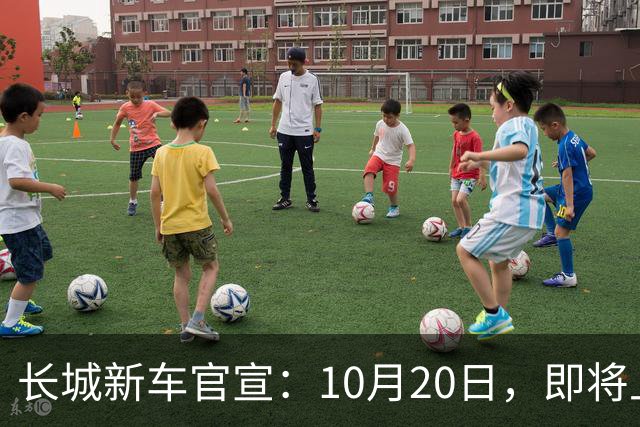 长城新车官宣：10月20日，即将上市