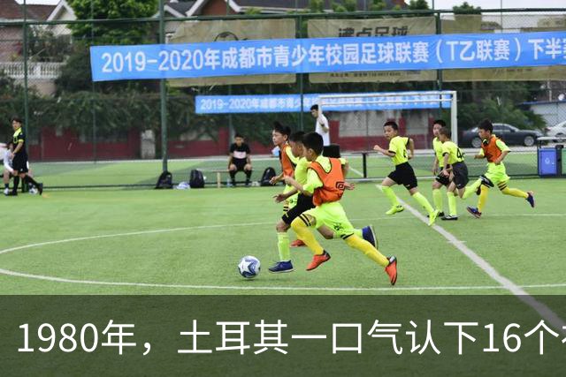 1980年，土耳其一口气认下16个祖先，为何被全世界当笑话？